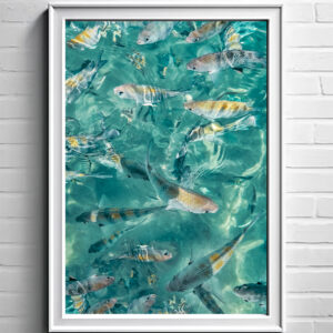 23 - Porto de Galinhas